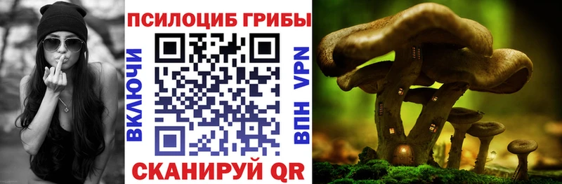 где купить   hydra маркетплейс  Псилоцибиновые грибы ЛСД  Мыски 
